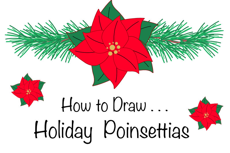 How To Draw Poinsettias Affinity Designer
