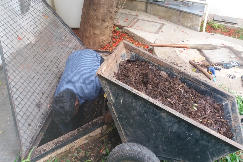 Compost is black gold, Bangalore, India