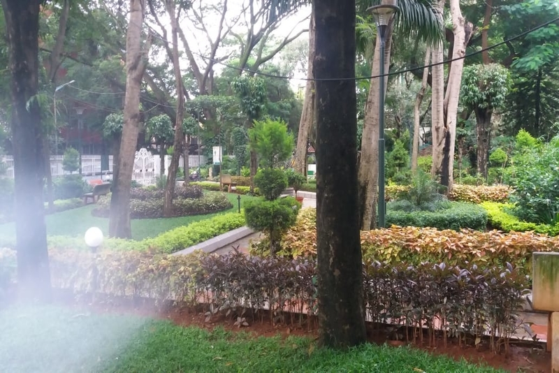 Enjoy a park in Bangalore, India